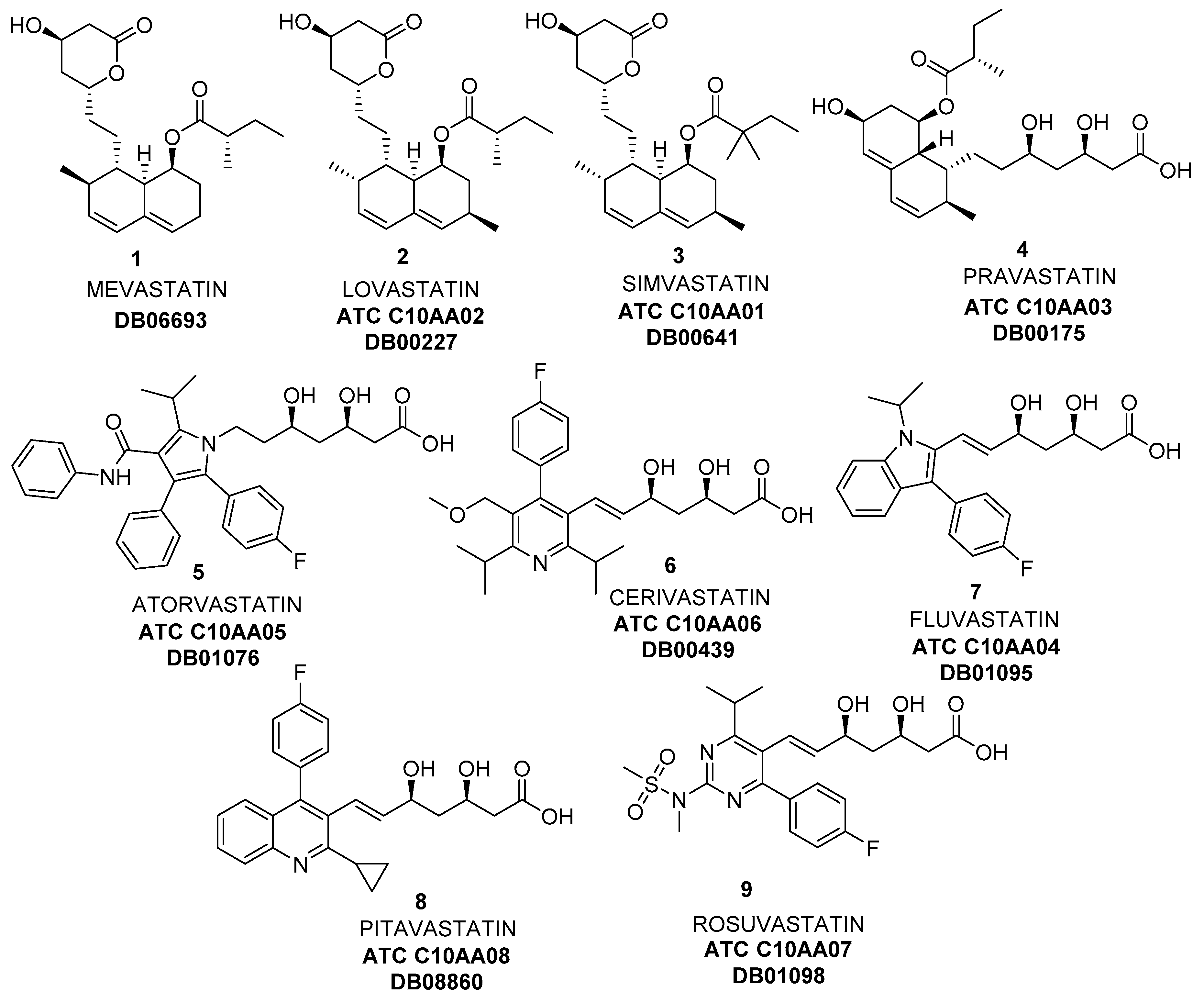 HMG-CoA Reductase Inhibitors (Statins) Custom Development