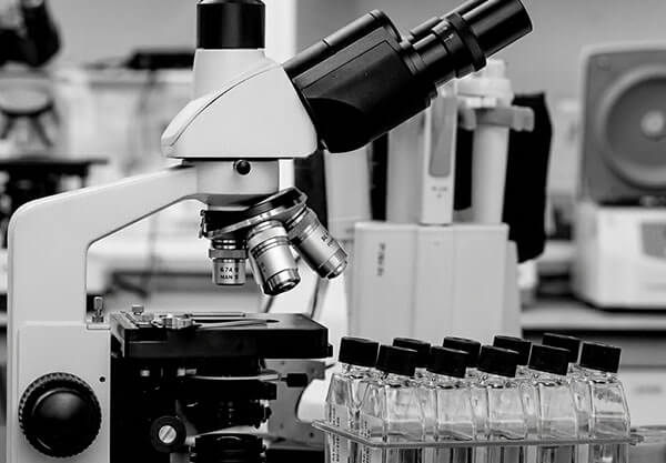 Antibody-drug Conjugate (ADC) Custom Development