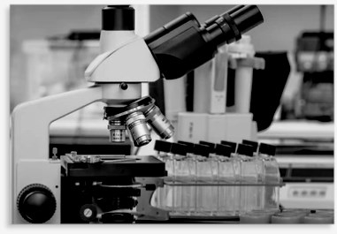 Antibody-drug Conjugate (ADC) Custom Development