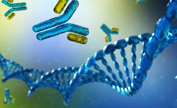 Peptides Custom Development