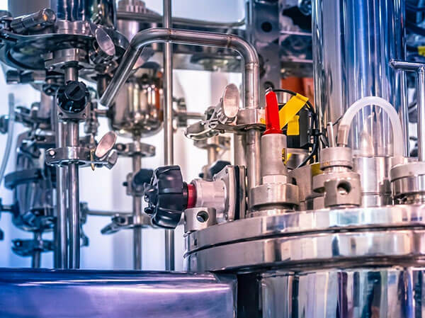 Microbial Fermentation Custom Development