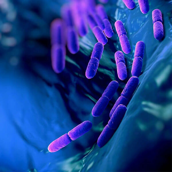 Microbial Fermentation
