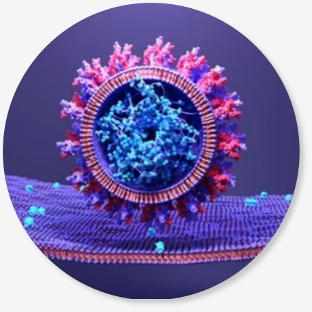 Biological Catalysis Platform 2