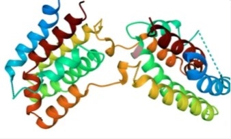 Peptide Synthesis Platform