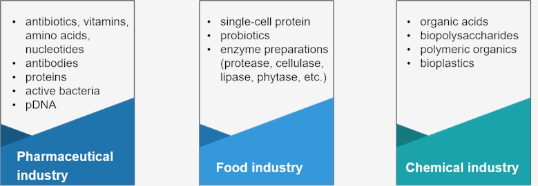 Microbial GMP Manufacturing2