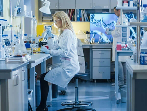 Macromolecules Custom Development